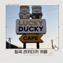 러키더키(LUCKYDUCKY) | 아이체험 제대로! 대구 근교 러키더키 패밀리랜드 솔직후기