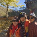거창-고제-4 | 백암산 백양사(전남 장성군 북하면)