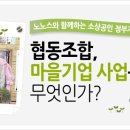 노노스창업교육학원