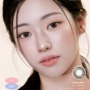 다비치안경 신아일보