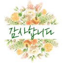 용지동힐링펜션 이미지