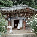 경주(부산) 이미지