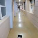 경주여자정보고등학교 병설유치원 이미지