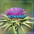제일약국 이미지