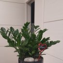 신영통경희한의원 이미지