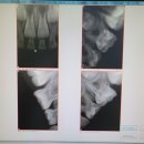 새싹어린이치과의원 이미지