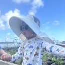 (유)과일인생 | 2026.02 23개월 아기와 괌 4박 5일(3) - 유앤아이돌핀크루즈 / 투몬야시장 / 비치인쉬림프재방문