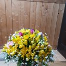 민플라워 이미지