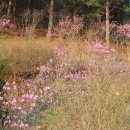 민박 동면 이미지