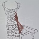 솔루션피트니스 이미지