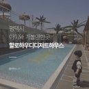 할로하우디 디저트하우스