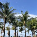 발리파크 편의점 | 발리 스미냑 데사 포테이토헤드 호텔 후기 | 조식·수영장·비치클럽 2편🏝️