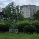 경찰가수👮‍♂️송준, 서울남대문경찰서 남대문파출소에서 근무하고 있는 바람에 뽜이터 # 스라소니 # 영원한 해병 김현기 경감님과 함께~ 이미지