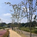 한국방송통신경기공장 | [방송대#4] 방송대 경기지역 대학 뚜벅이로 가는 방법! 오목천역에서 걸어가기