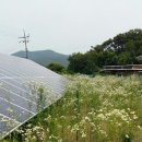 수현 발전소 네이버블로그