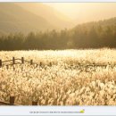 영남알프스 복합웰컴센터 이미지