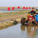 덕성농장 이미지