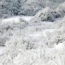 [산촌편지 41] 산촌에서 보내는 작별 인사 이미지