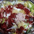 수육갑 Daum카페