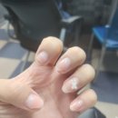 젬미네일