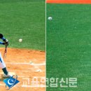 교육연합신문