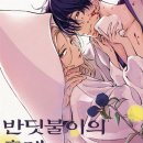 반딧불이유치원 이미지