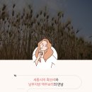 다비어스