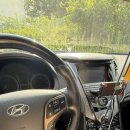 팽브로우 이미지