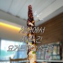 세상에서 제일 긴 요거트아이스크림?! 😮🍨 목대후문 나무숲 카페 리얼후기 ㅣ 목포맛집, 목대맛집, 목대카페