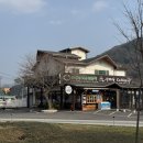 아우라지수리취떡