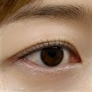 부산의사신협의료기 | 남천동 / 결관리에 누구보다 진심 ‘리본리프트’ 내돈내산 속눈썹펌 후기