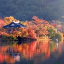 진해구 ⓒ-25 이미지