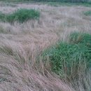 경운목장 이미지