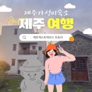 Cu제주표선해변길점 | 서귀포/표선 1인 숙소 끝판왕! 단독 화장실까지 갖춘 [제주도게스트하우스 도토리] 솔직 후기