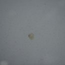 D&S factory 이미지