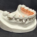 도담치과기공소 이미지