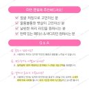 디피엘 이미지
