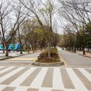 해살이참좋은 네이버블로그