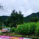 고산농원 | 창원 사파동 고산농원 다녀온 후기[백숙,오리불고기]