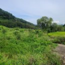 삼가제일부동산공인중개사사무소 이미지