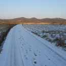 김종철농장 이미지