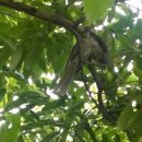 상수리PC 이미지