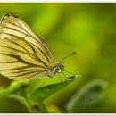 곤충생태관_1 이미지