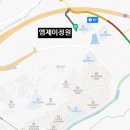 타잔커피 이미지