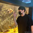 다누리민박 | [단양] <다누리아쿠아리움>