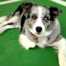 성신모텔 이미지