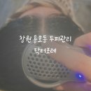 경상남도 창원시 동부건강생활지원센터 | 창원 두피관리 전문 닥터포레 두피 여성탈모 진단 케어 후기