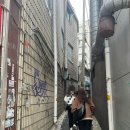 충무카서비스 | 을지로 3가 신상 맛집 추천 가성비 카이센동 포치카 내돈내산 강추