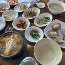 탑동산호전복 이미지