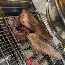 홍원도양꼬치 이미지